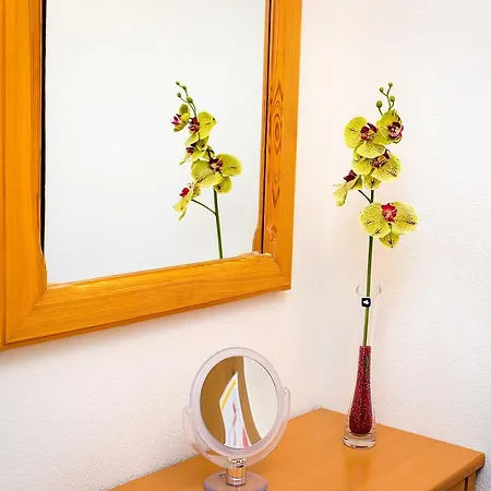 Apartament B513